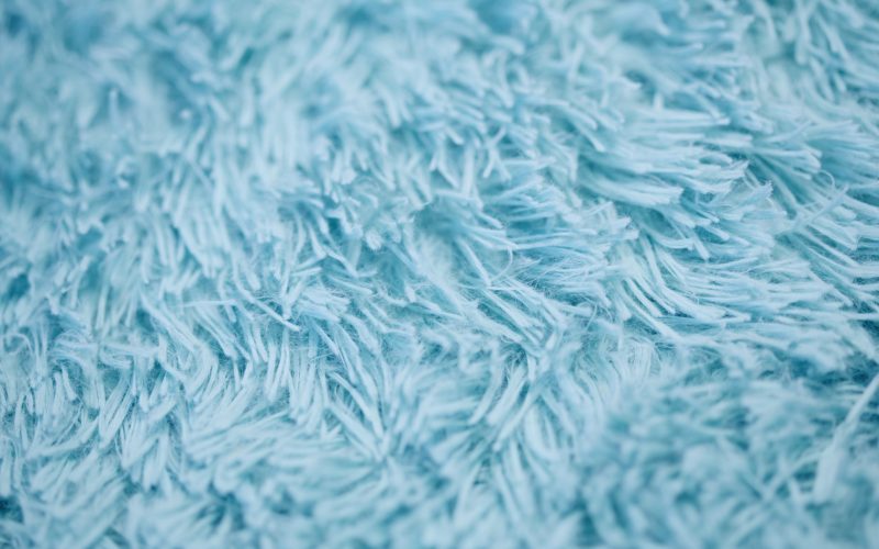 Świeżość i Czystość Twojego Domu: Jak Prawidłowo Czyścić Dywany i Tapicerkę?